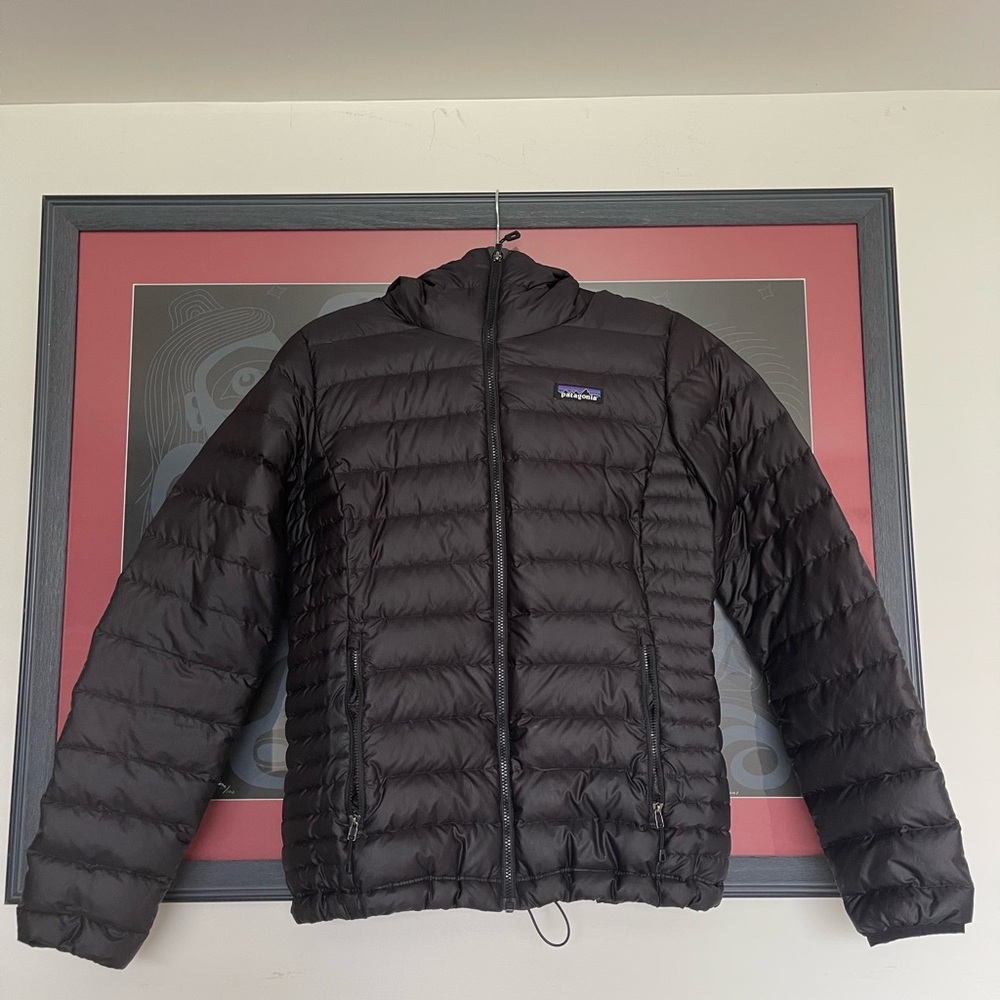 Patagonia Women’s Down Sweater Hoody